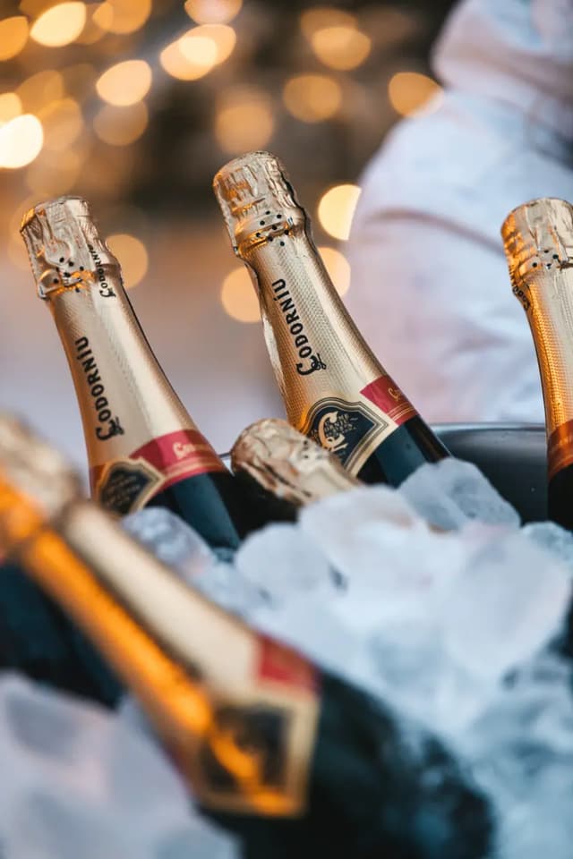 Flessen bubbels op ijs